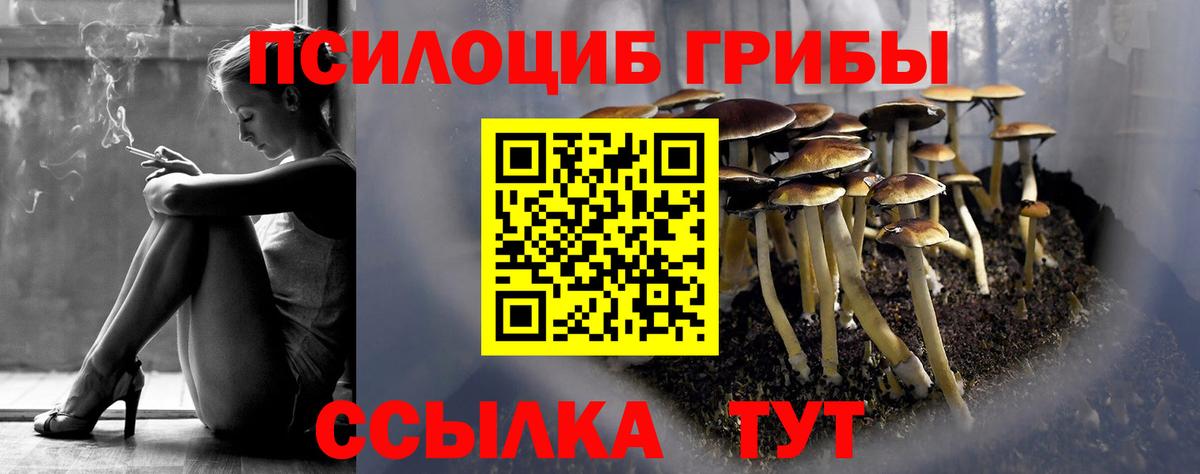 Галлюциногенные грибы GOLDEN TEACHER  Галлюциногенные грибы мицелий  Вход с VPN  наркота  Вольск 